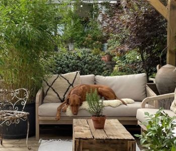 garden with a dining table under a pergola a