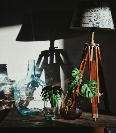 shallow focus photography of green plants on vase